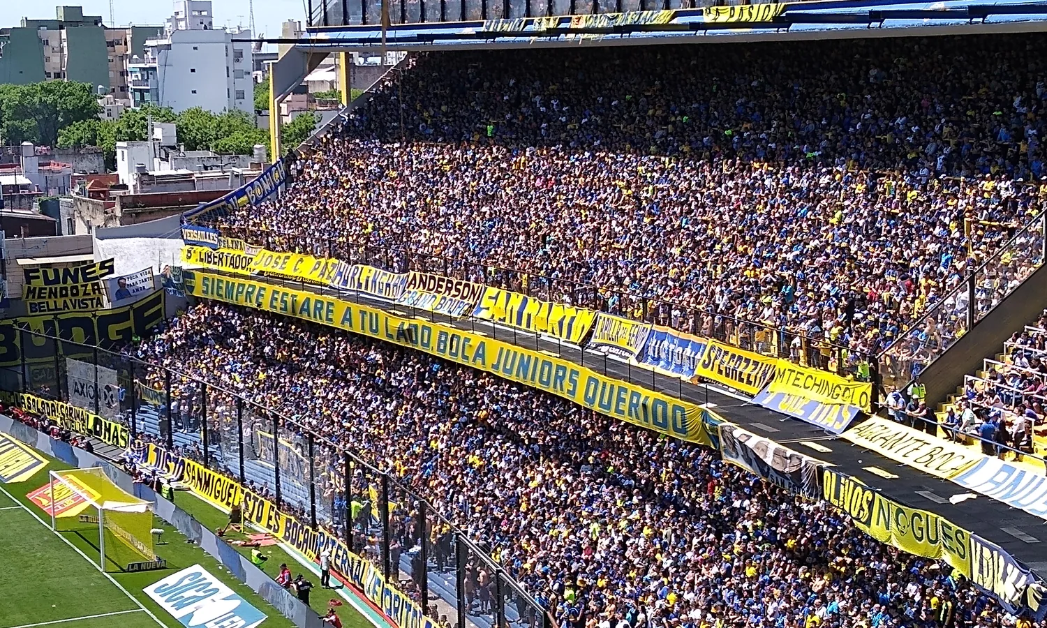 Angelici