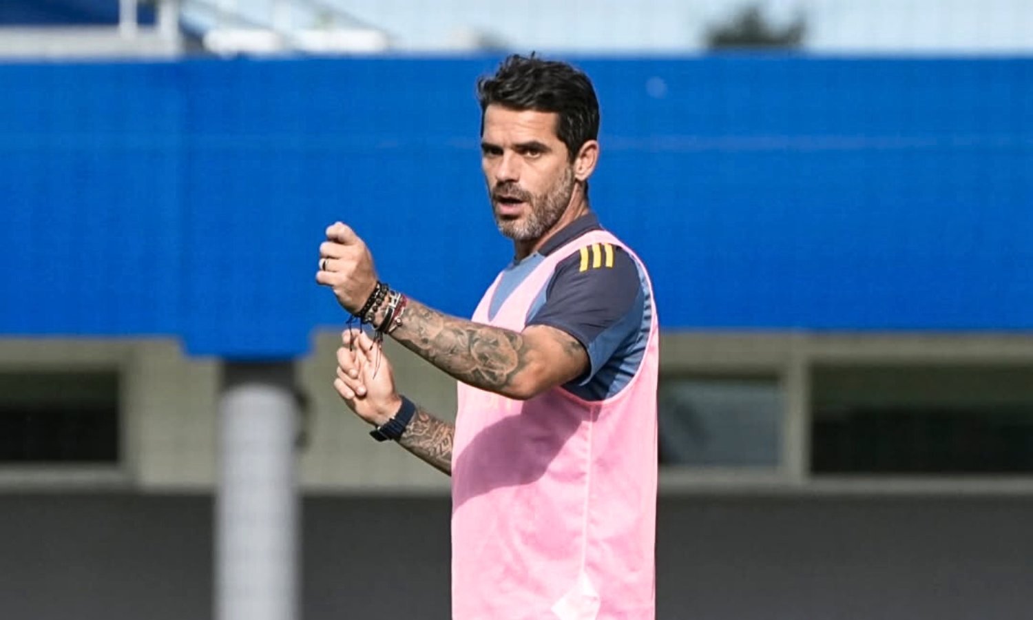 Gago Boca