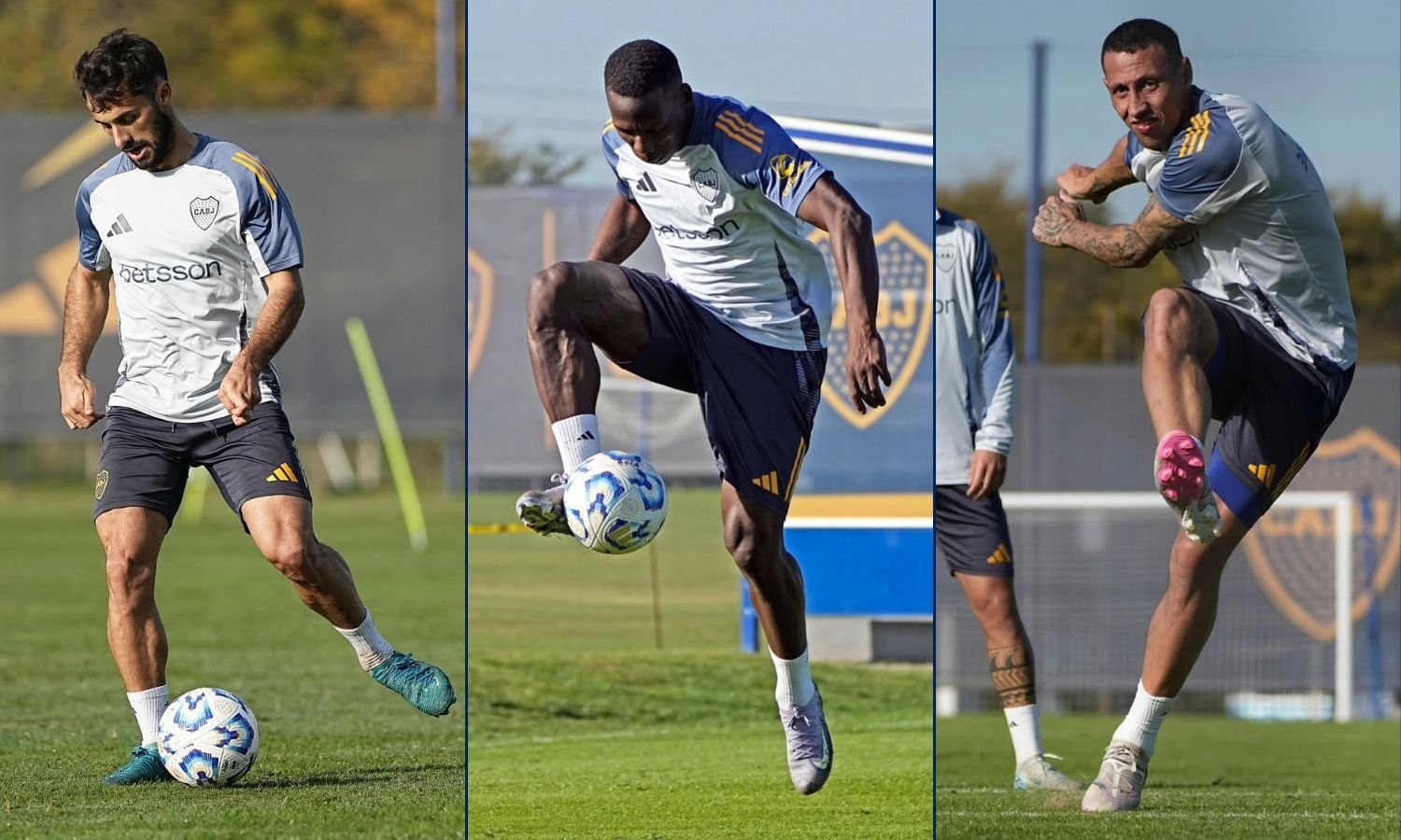 Saracchi Advincula Lema