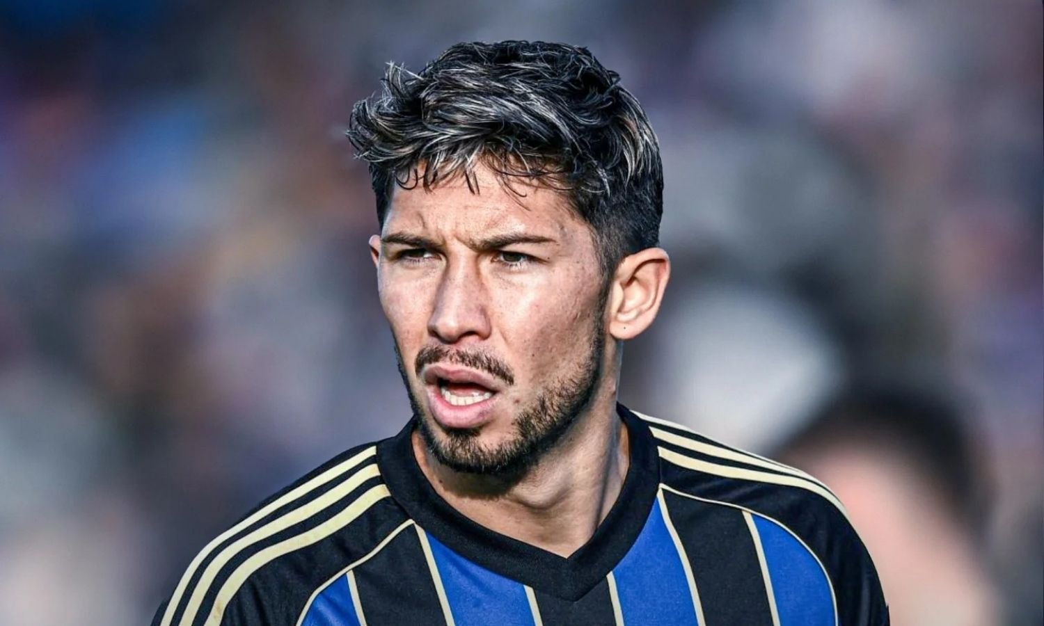 Felipe Loyola