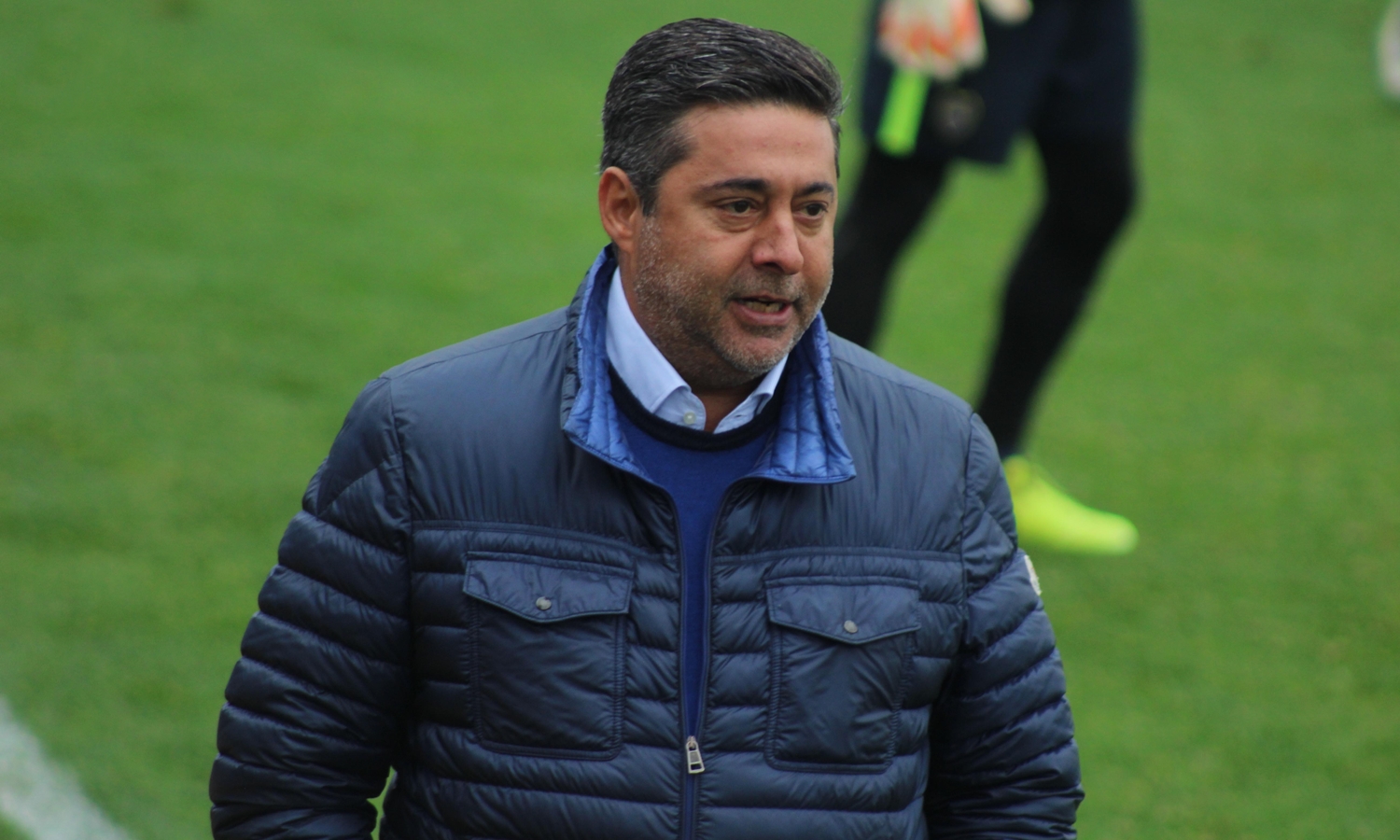 Angelici