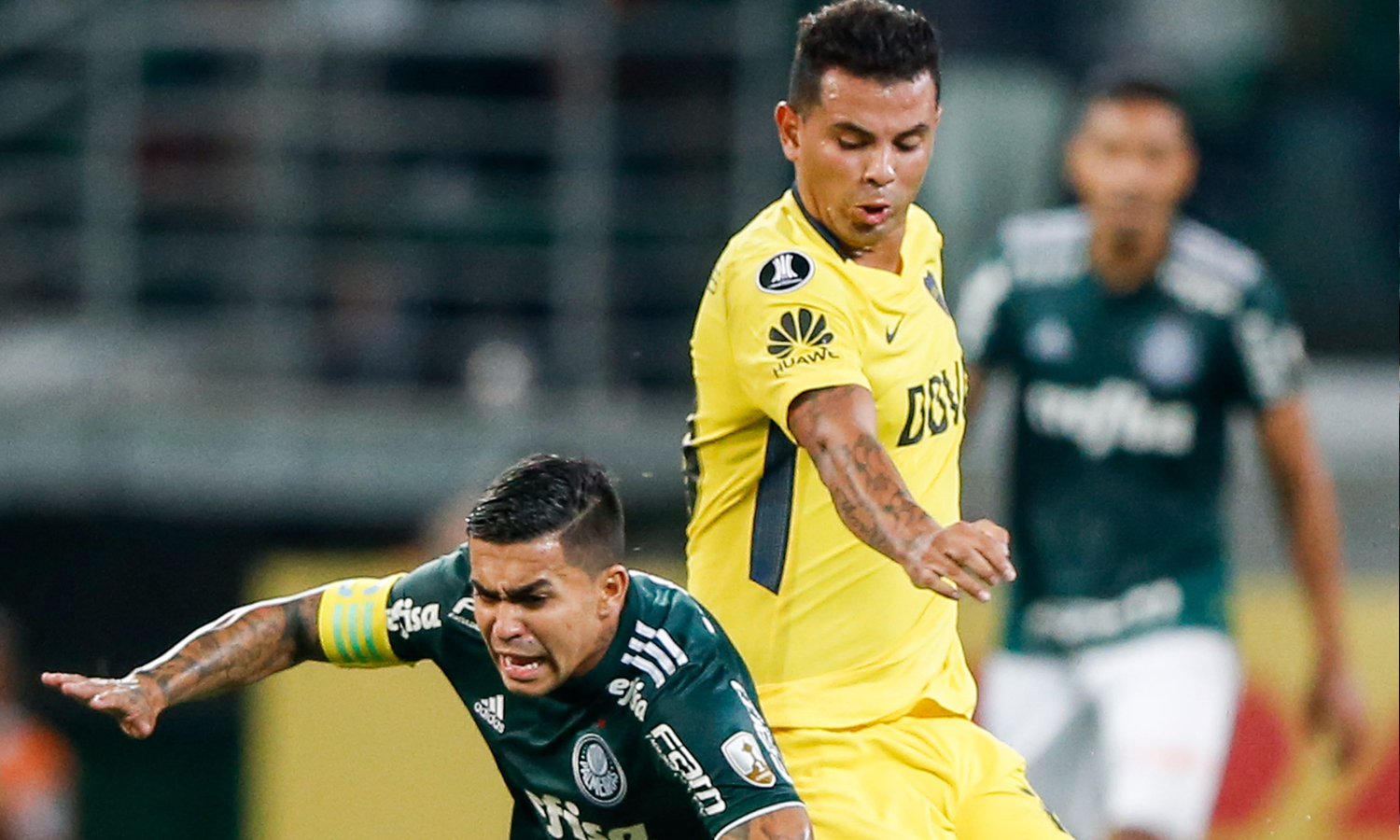 Cardona