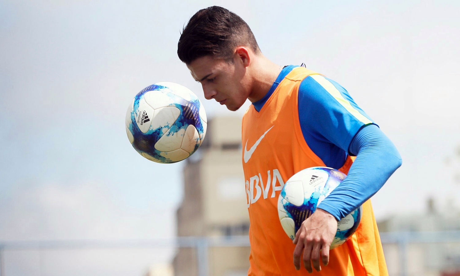 pavon entre algodones