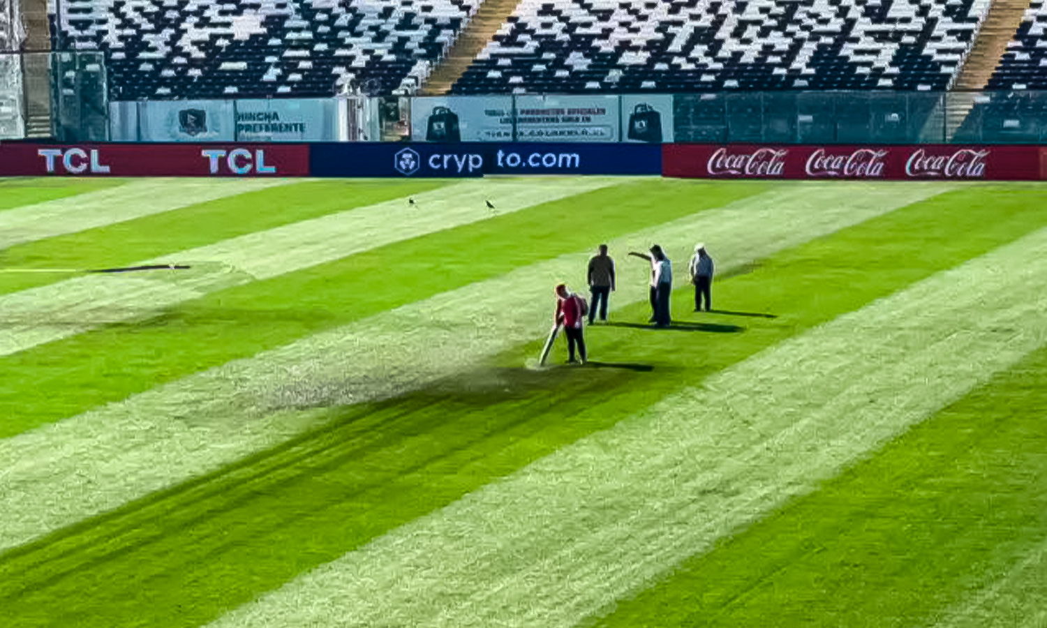 Campo de juego estadio Monumental David Arellano